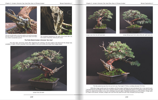 bonsai book