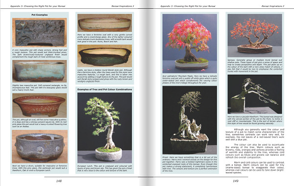 bonsai book