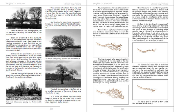 bonsai book