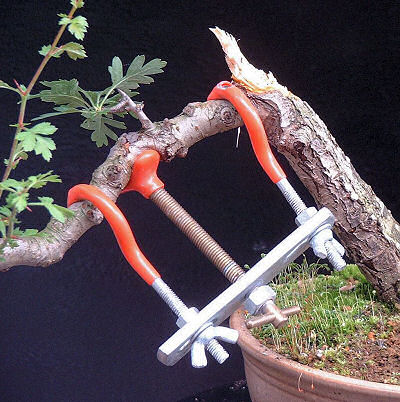 Branch Clamp