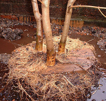 The layering process