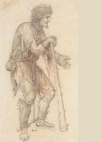 Bonsai and Visual Movement