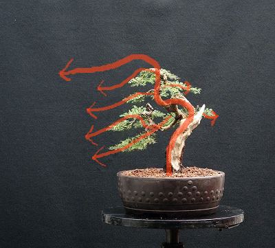Bonsai and Visual Movement