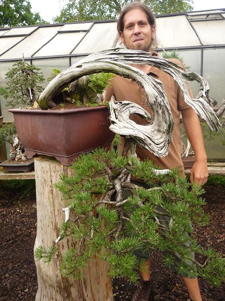 walter pall  bonsai