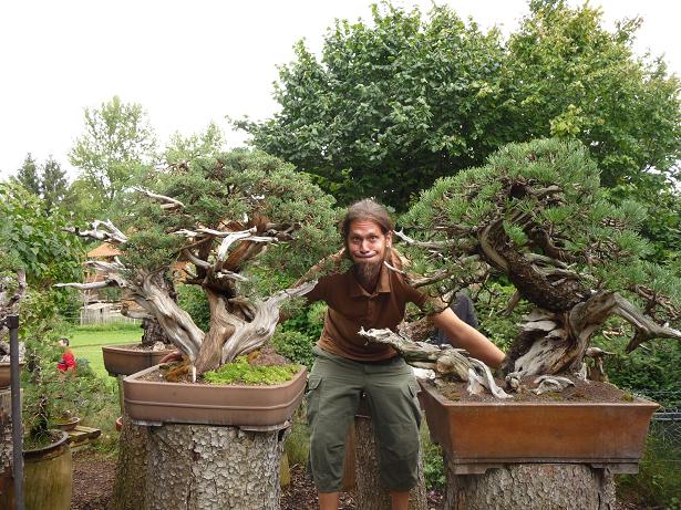 walter pall  bonsai