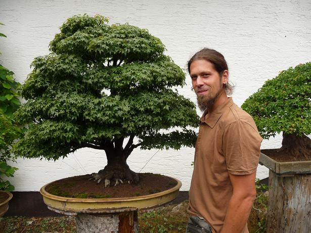 walter pall  bonsai