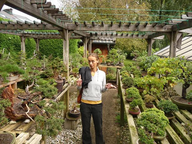 walter pall  bonsai