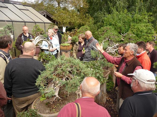 walter pall  bonsai