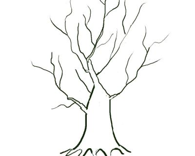 Developing Trunks for Bonsai