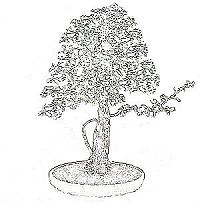 threadgrafting bonsai