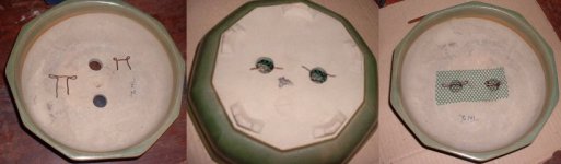 Repotting and Rootpruning