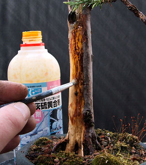 Apply the lime sulphur